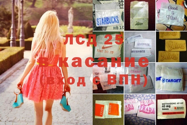 ECSTASY Липки