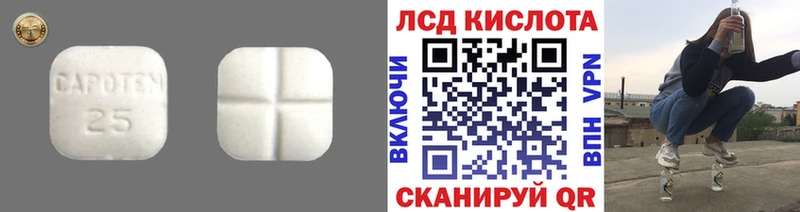 LSD-25 экстази кислота  мега онион  Чаплыгин 