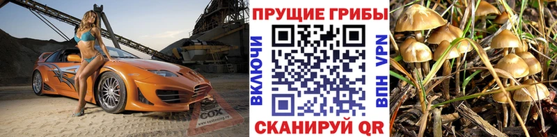 Галлюциногенные грибы Cubensis ОМГ ОМГ ТОР Чаплыгин